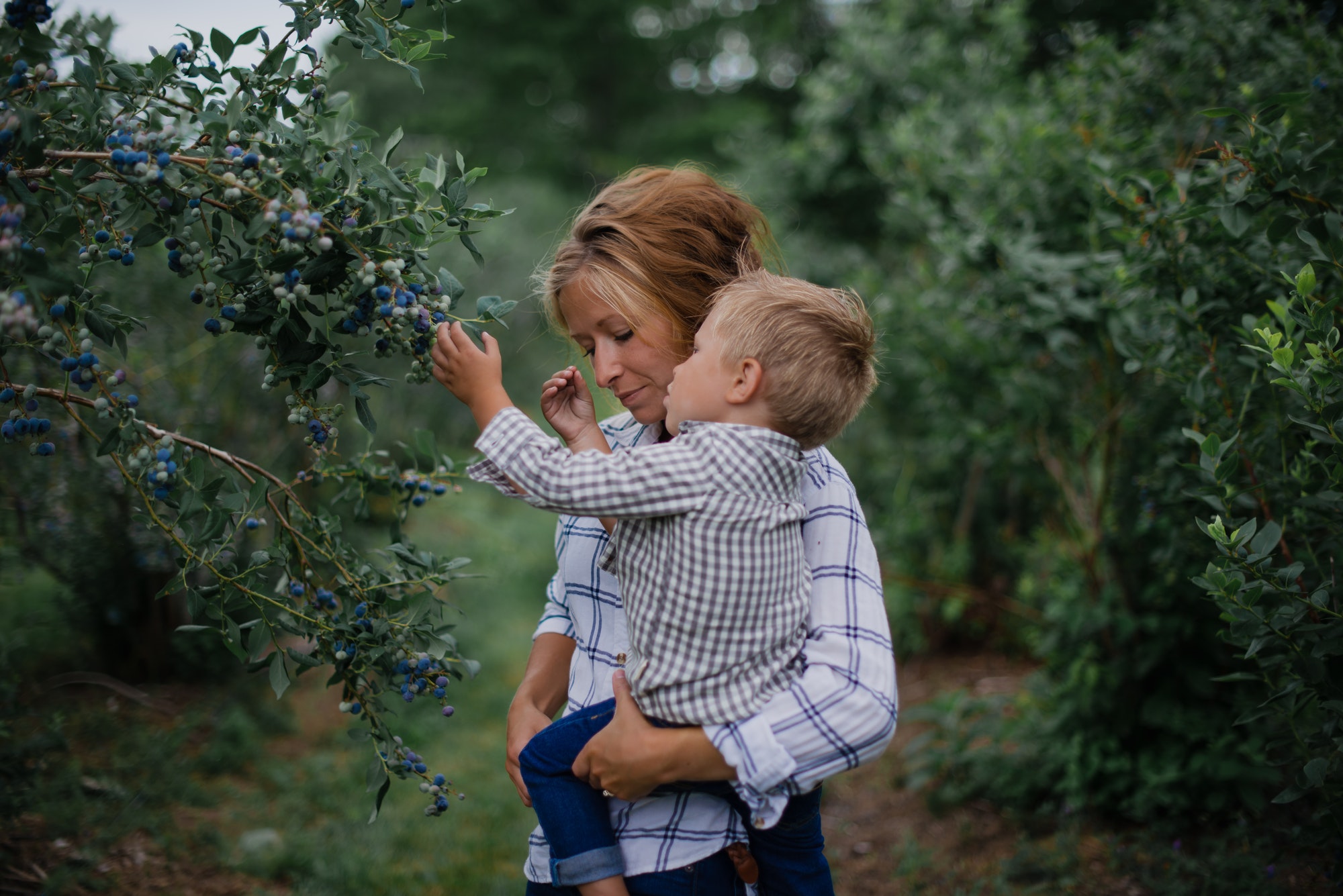 Benefits Of Homesteading