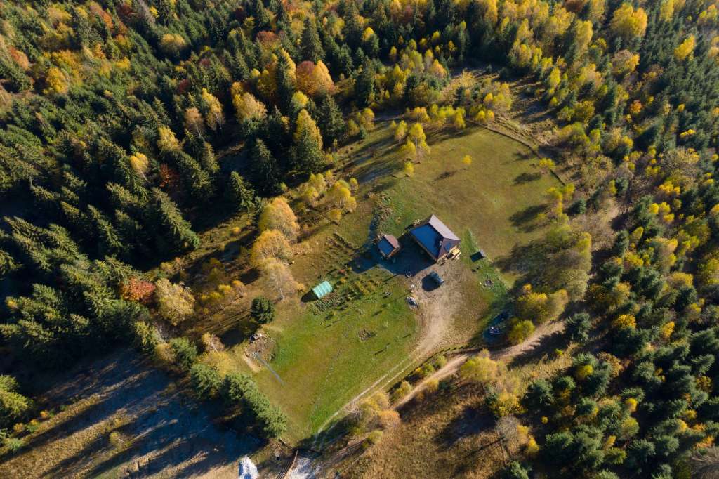 Aerial view of a small countryside homestead and colorful autumn forest. Drone point of view